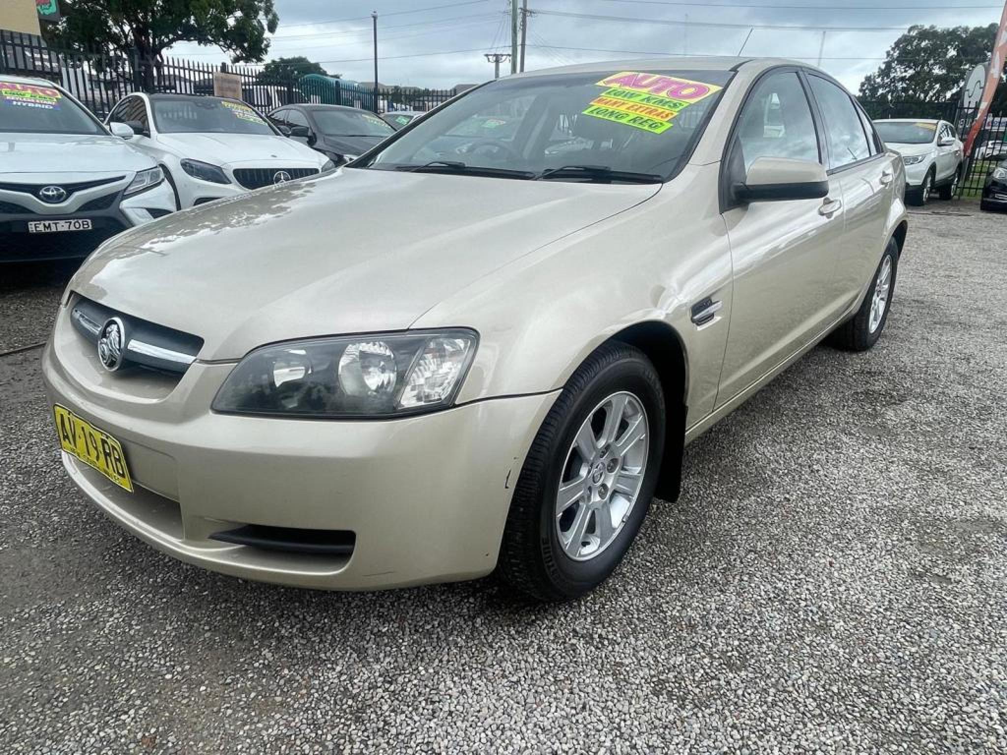 HOLDEN COMMODORE