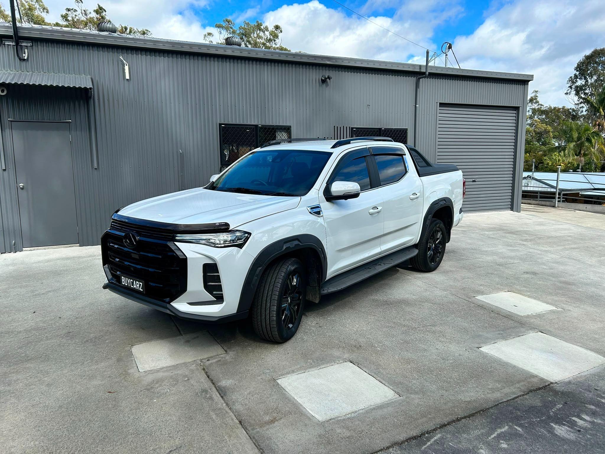 LDV T60