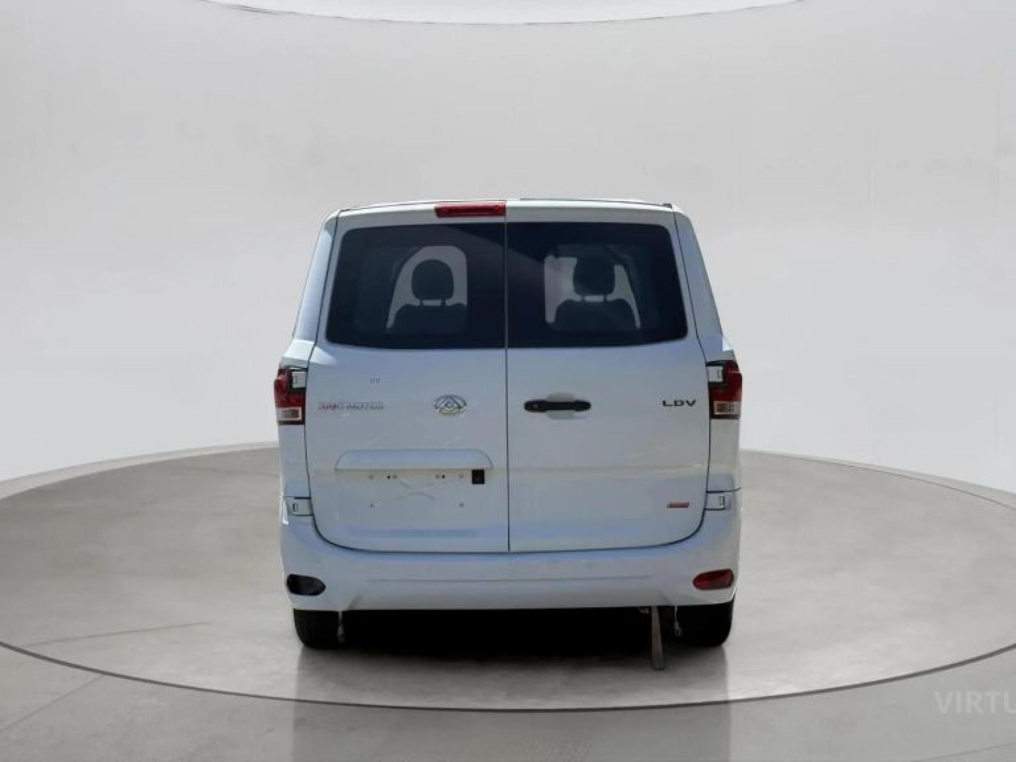 LDV G10