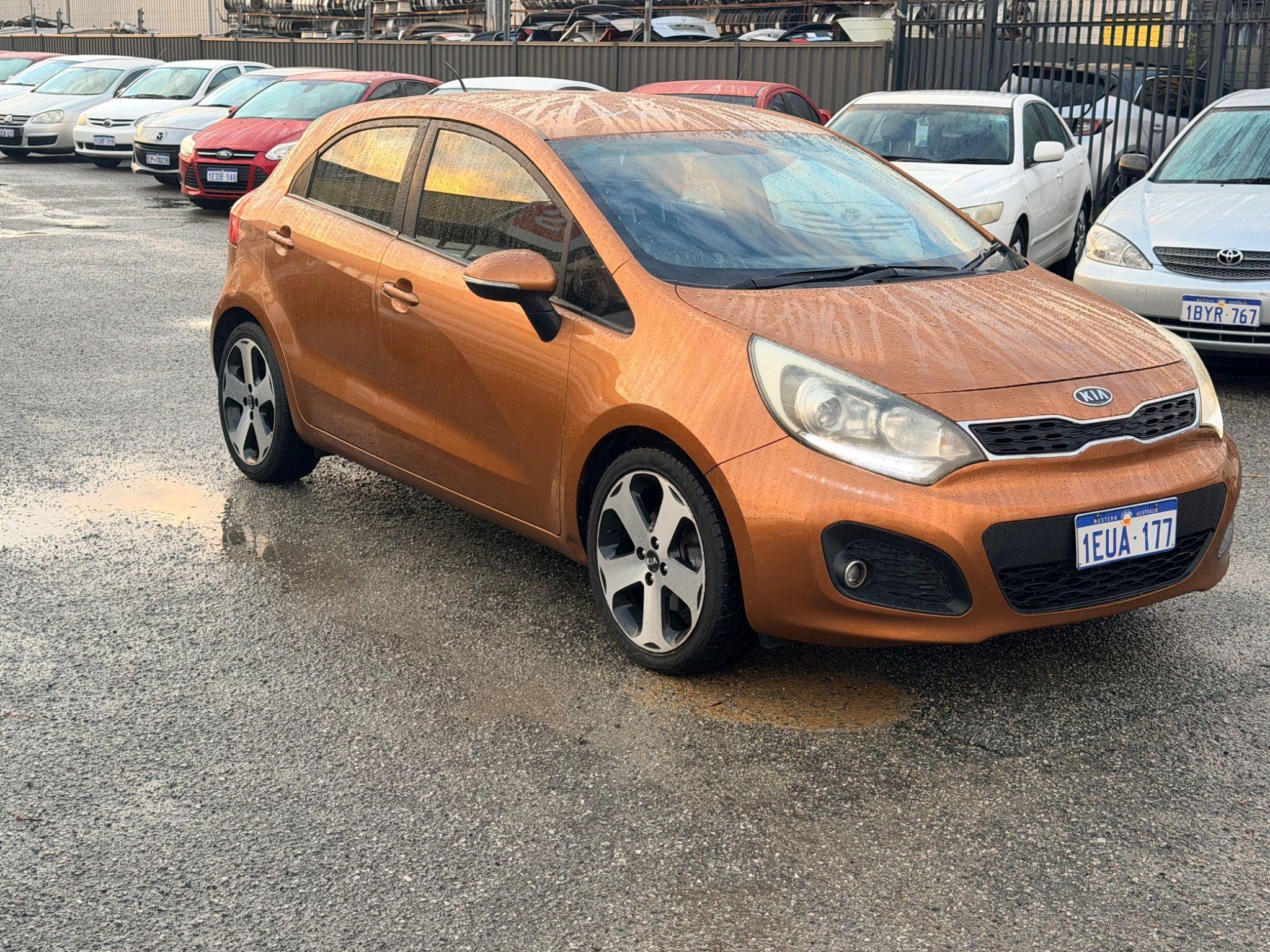 KIA RIO