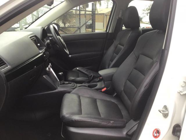 Picture 10