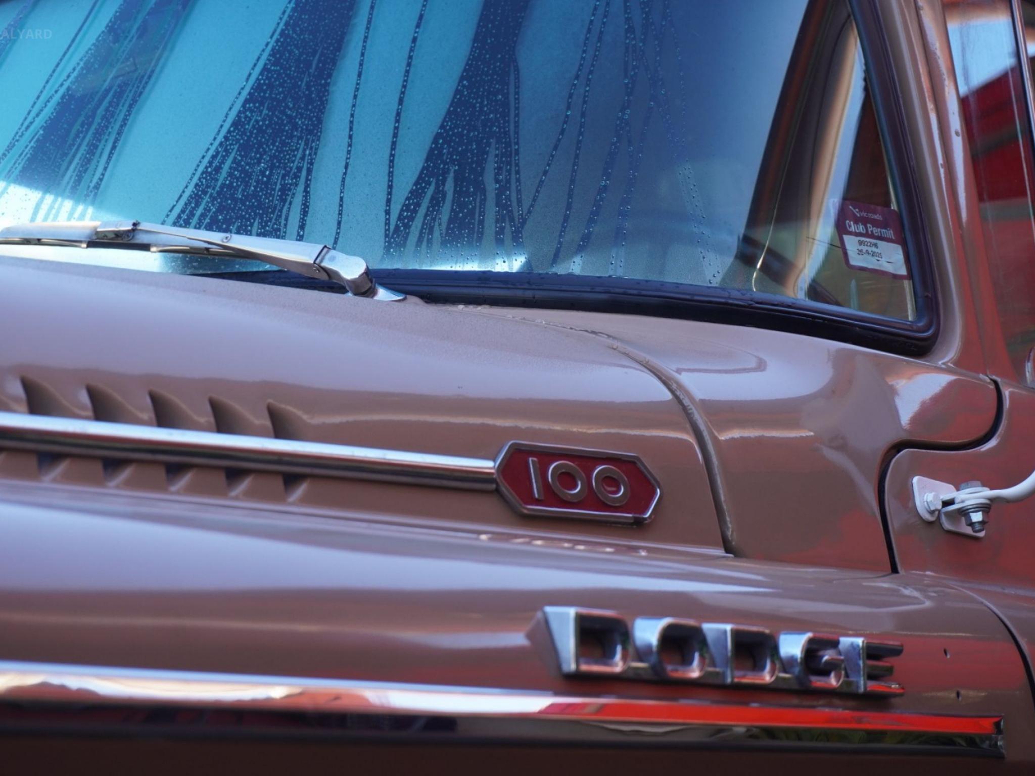 DODGE D100