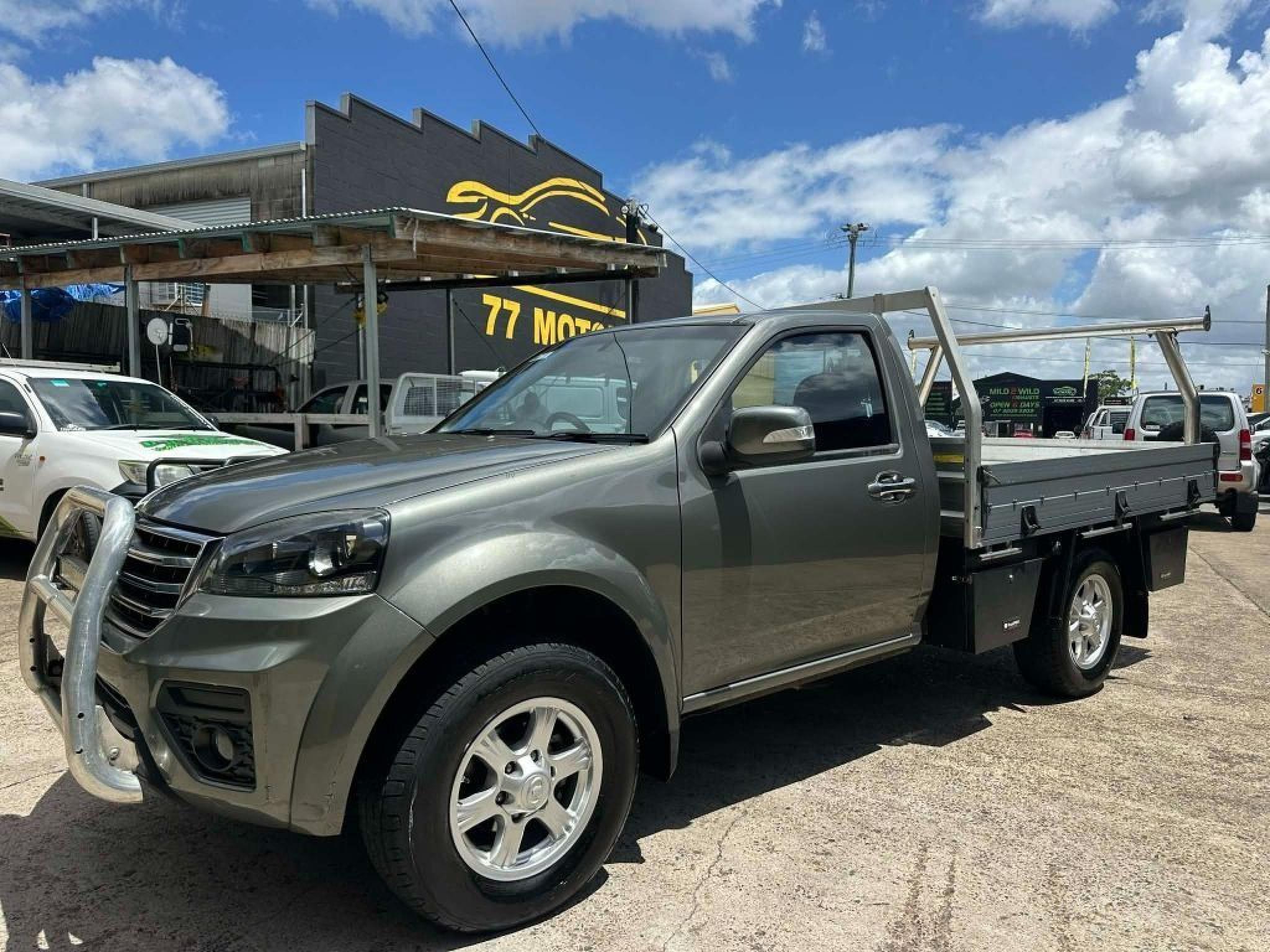 GREAT WALL STEED