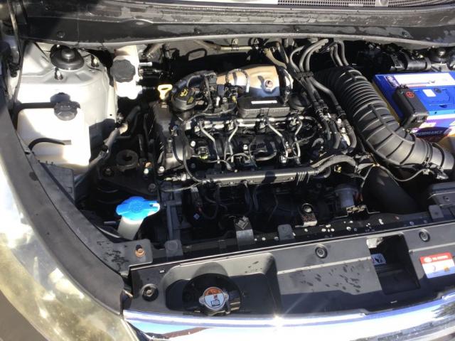 Picture 12