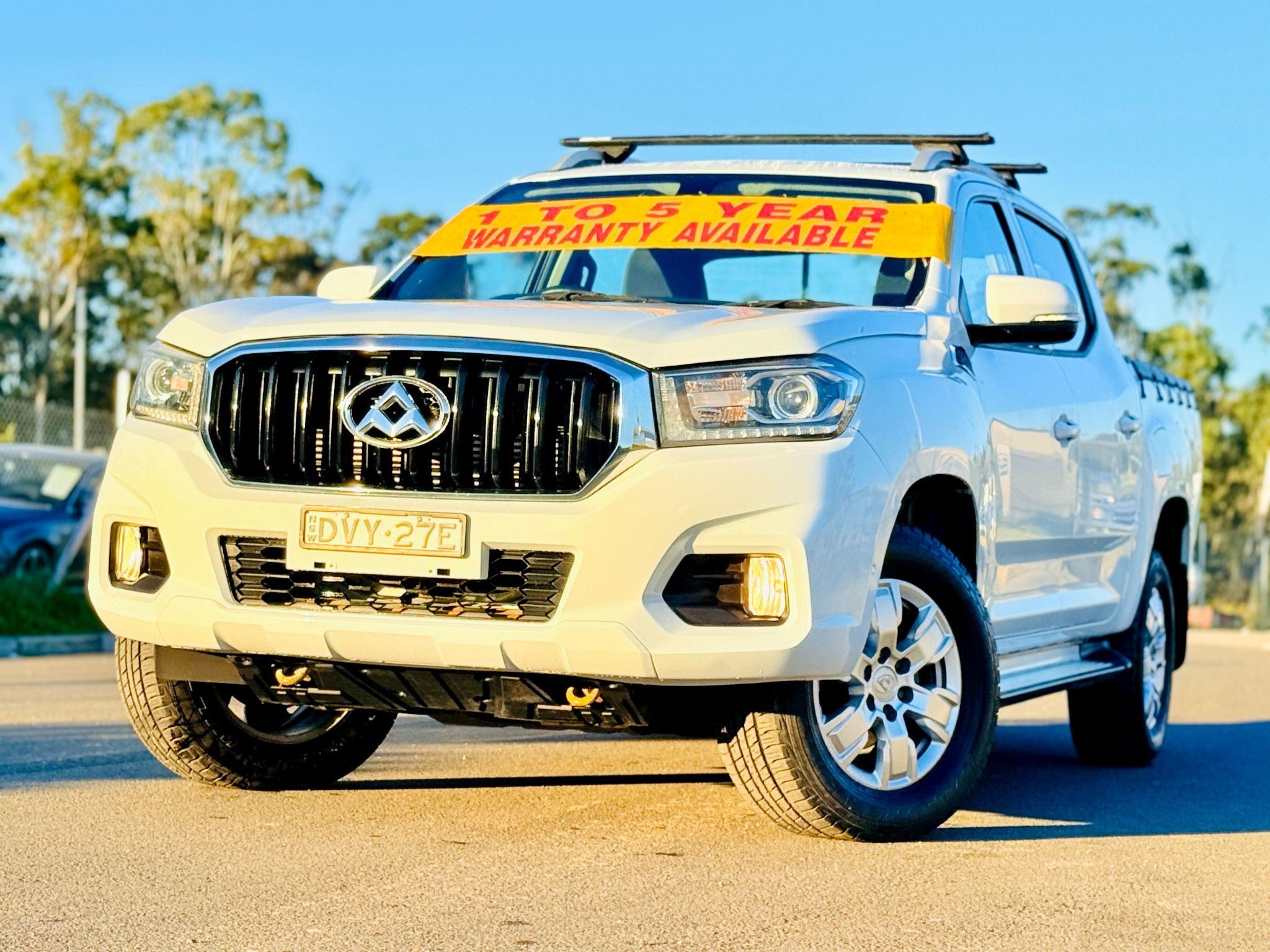 LDV T60