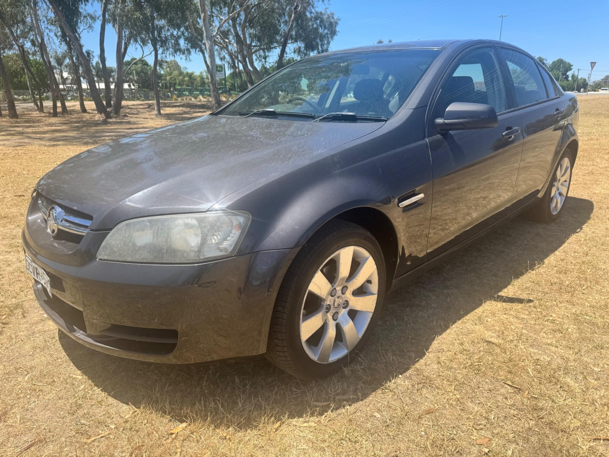 HOLDEN COMMODORE