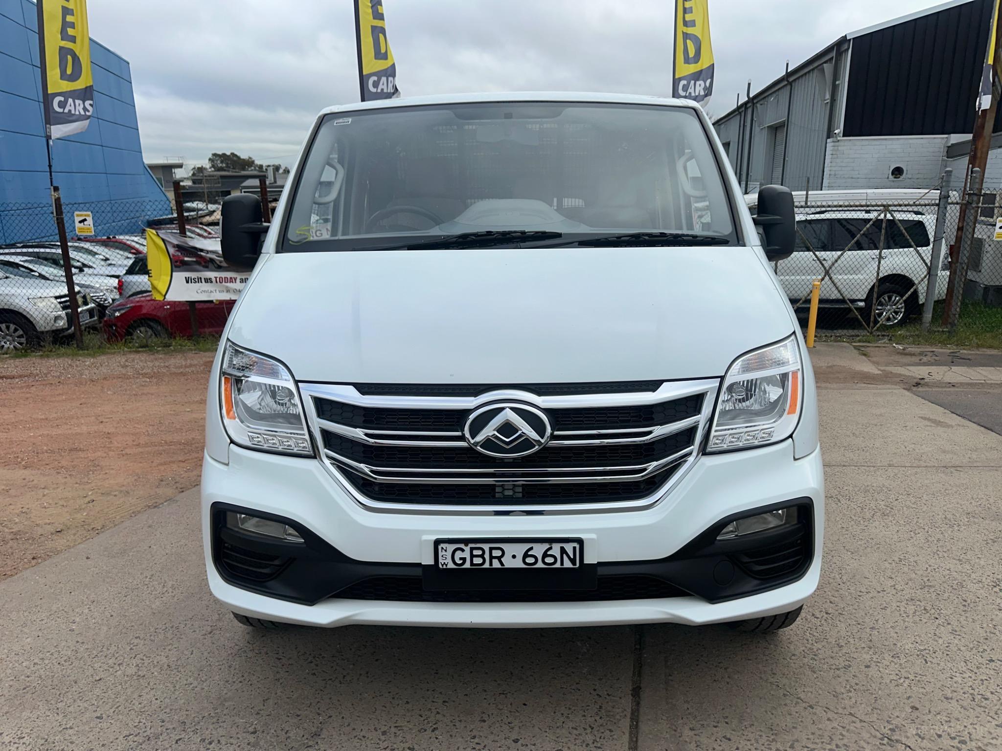 LDV V80