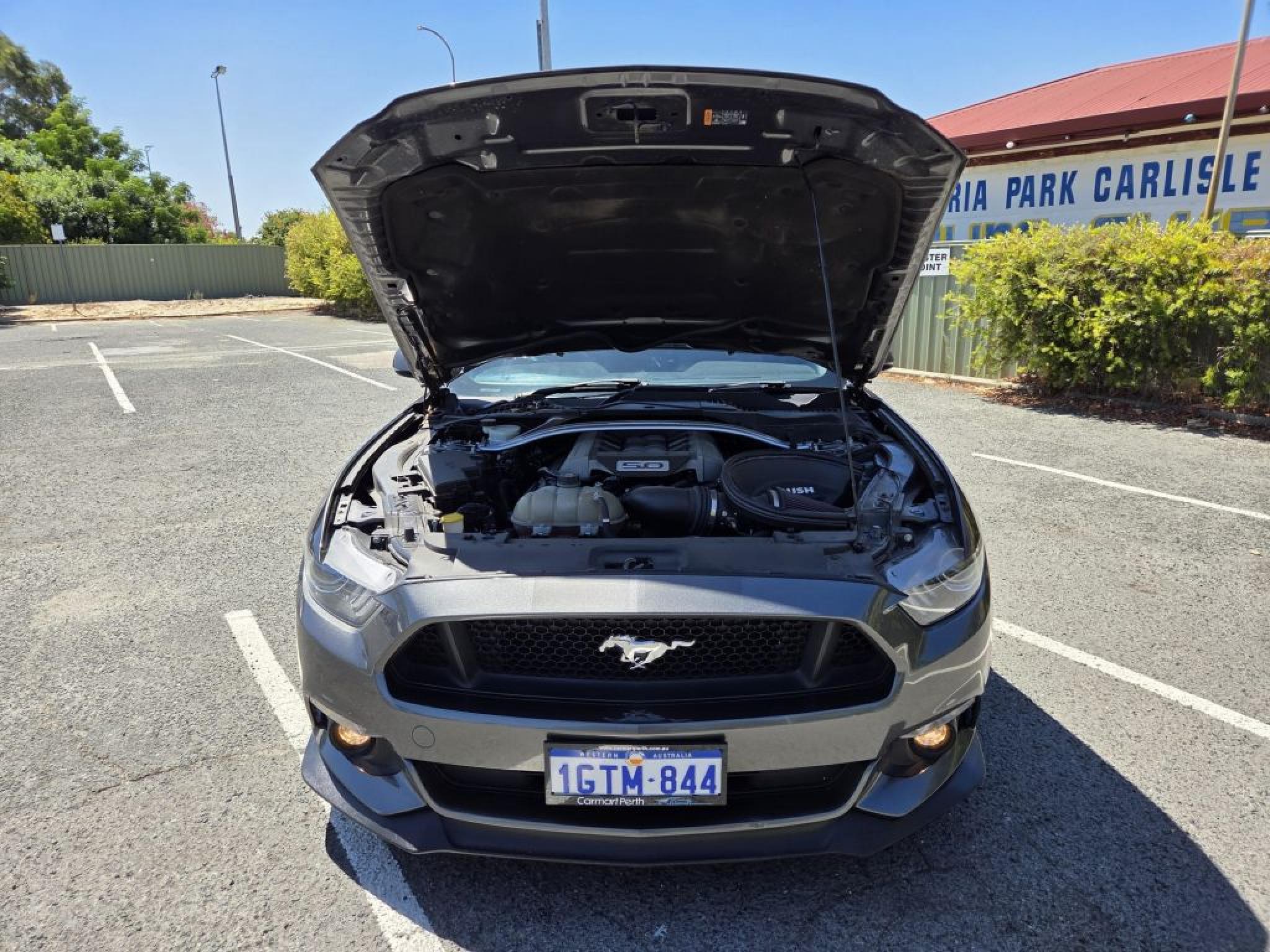 FORD MUSTANG