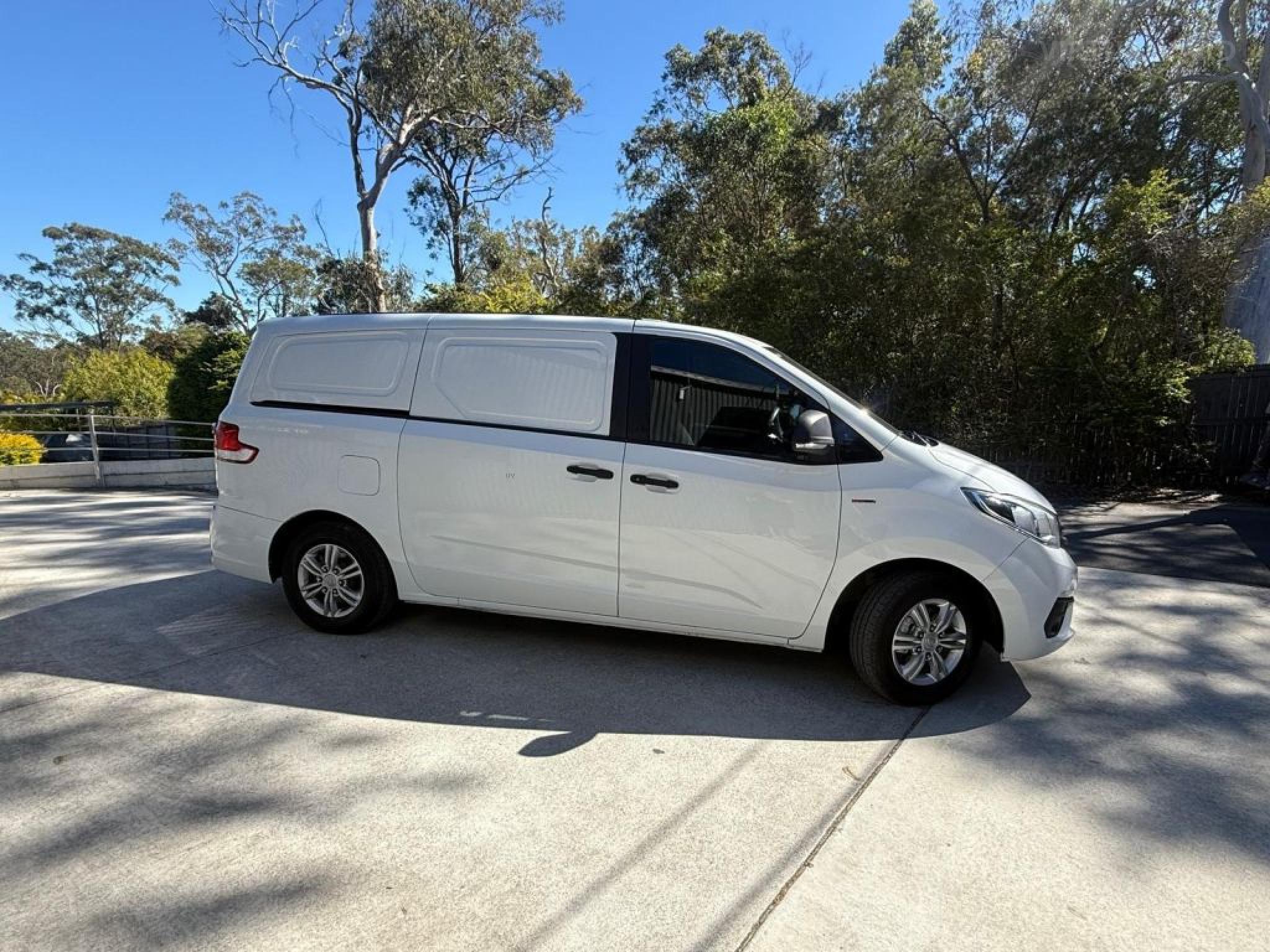 LDV G10